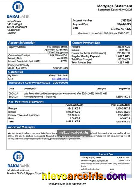 Kyrgyzstan Bakai Bank mortgage statement Word and PDF template